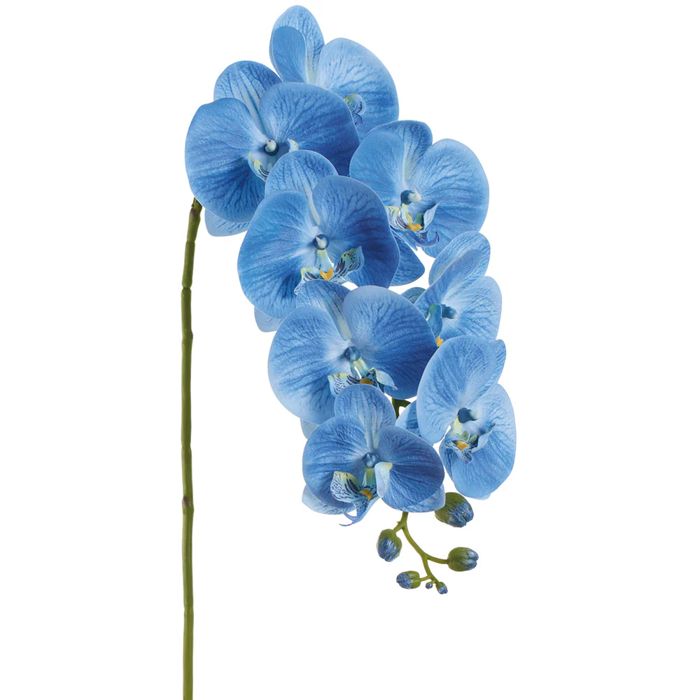 37" Phalaenopsis Orchid Silk Flower Stem -Blue (Pack of 12)