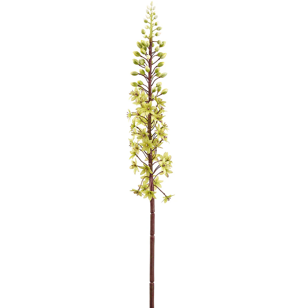 37" Pineapple Lily Silk Flower Stem -Green (Pack of 6)