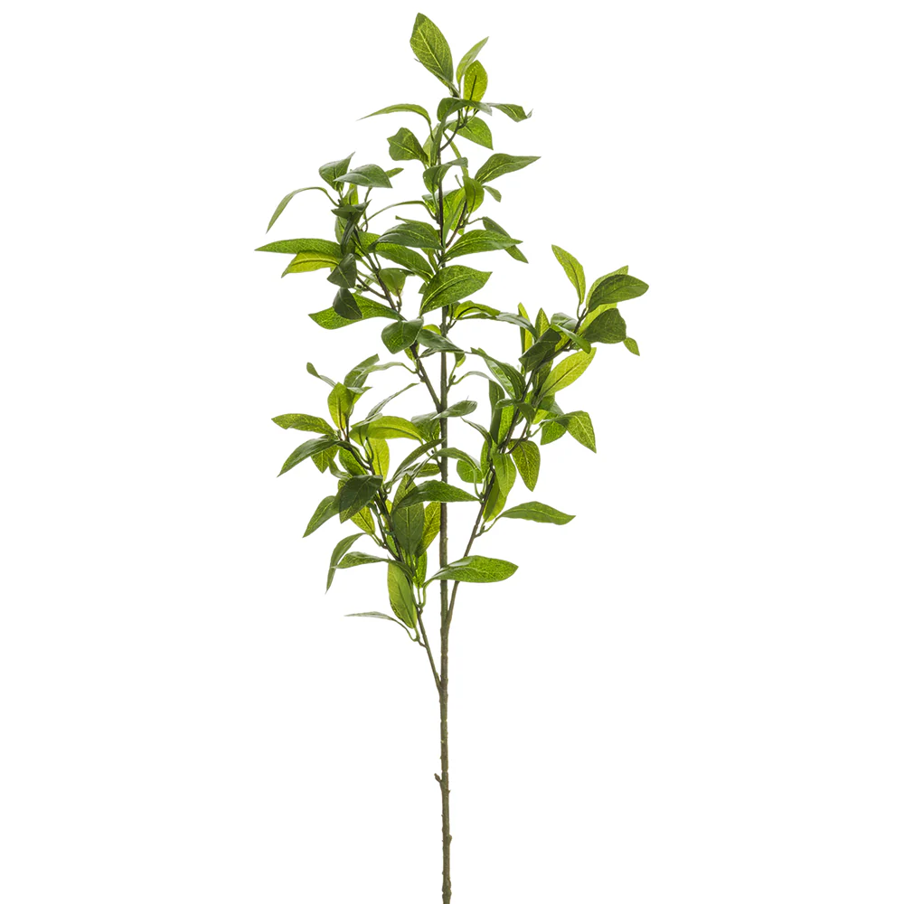 37" Silk Laurel Leaf Stem -Green (Pack of 12)