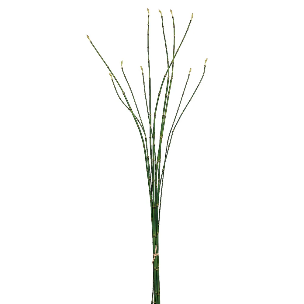 37" Silk Oriental Bamboo Stem Bundle -Green (Pack of 12)