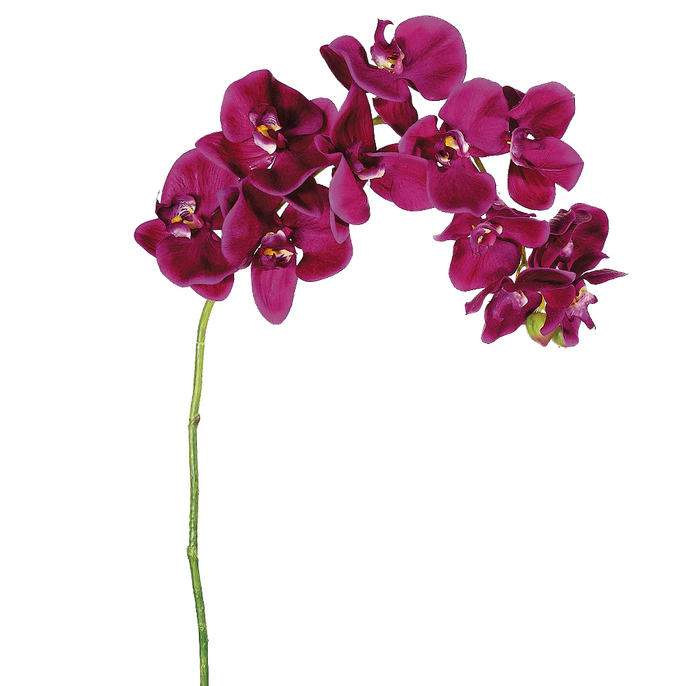 37" Silk Phalaenopsis Orchid Flower Spray -Violet (Pack of 12)