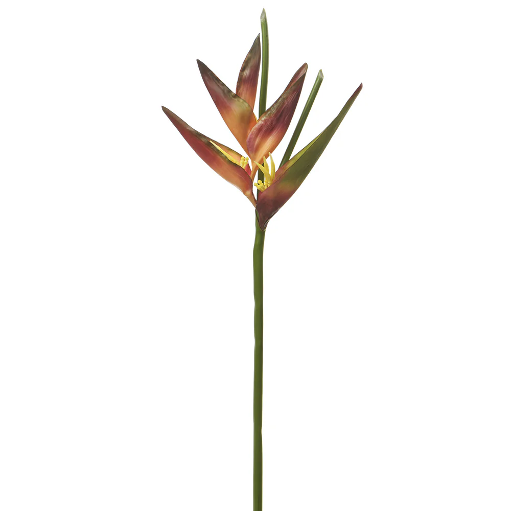 38" Artificial Heliconia Flower Stem -Eggplant/Green (Pack of 12)