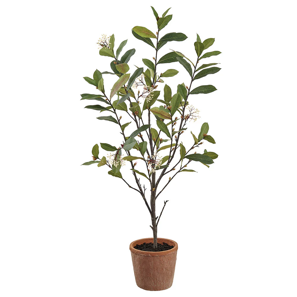 38" Blossoming Photinia Leaf Silk Plant w/Clay Pot -Green (Pack of 2)