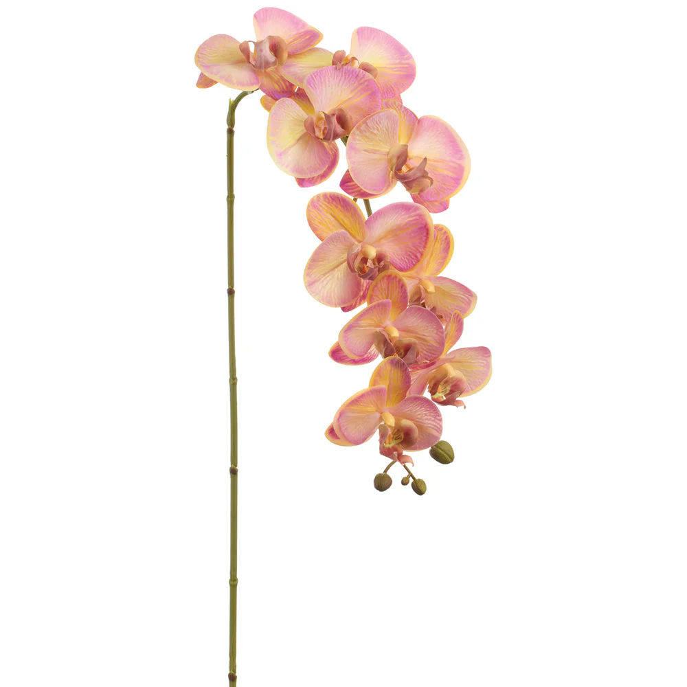 38" Phalaenopsis Orchid Silk Flower Stem -Yellow/Fuchsia (Pack of 12)