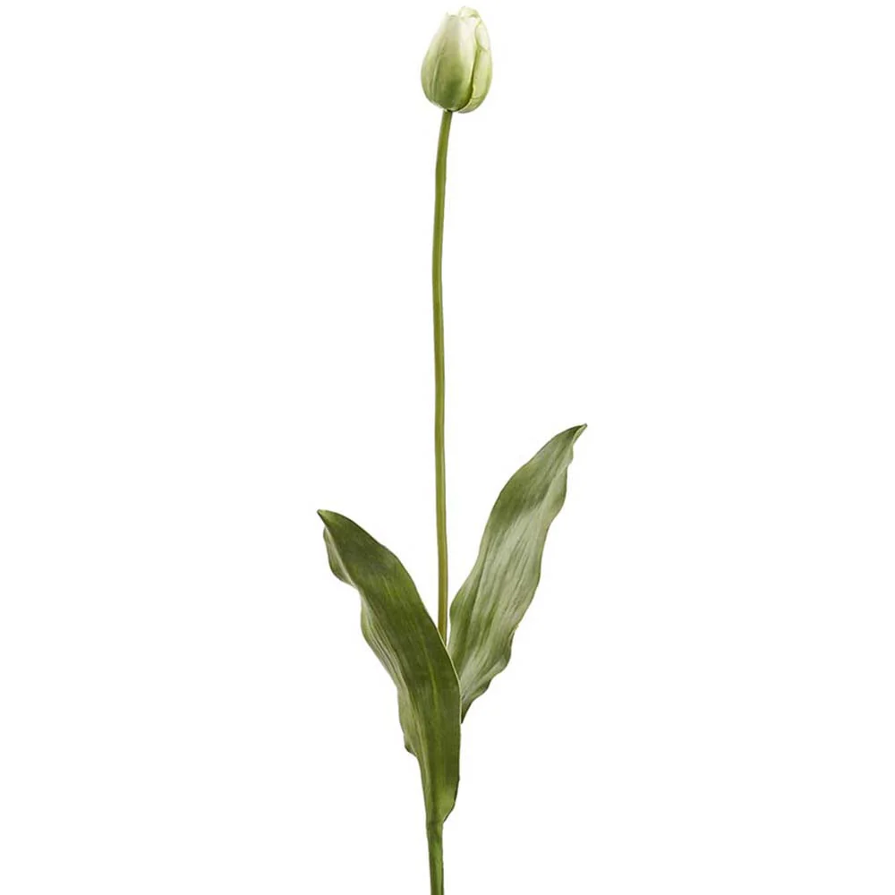 38" Tulip Silk Flower Bud Stem -Cream/Green (Pack of 12)