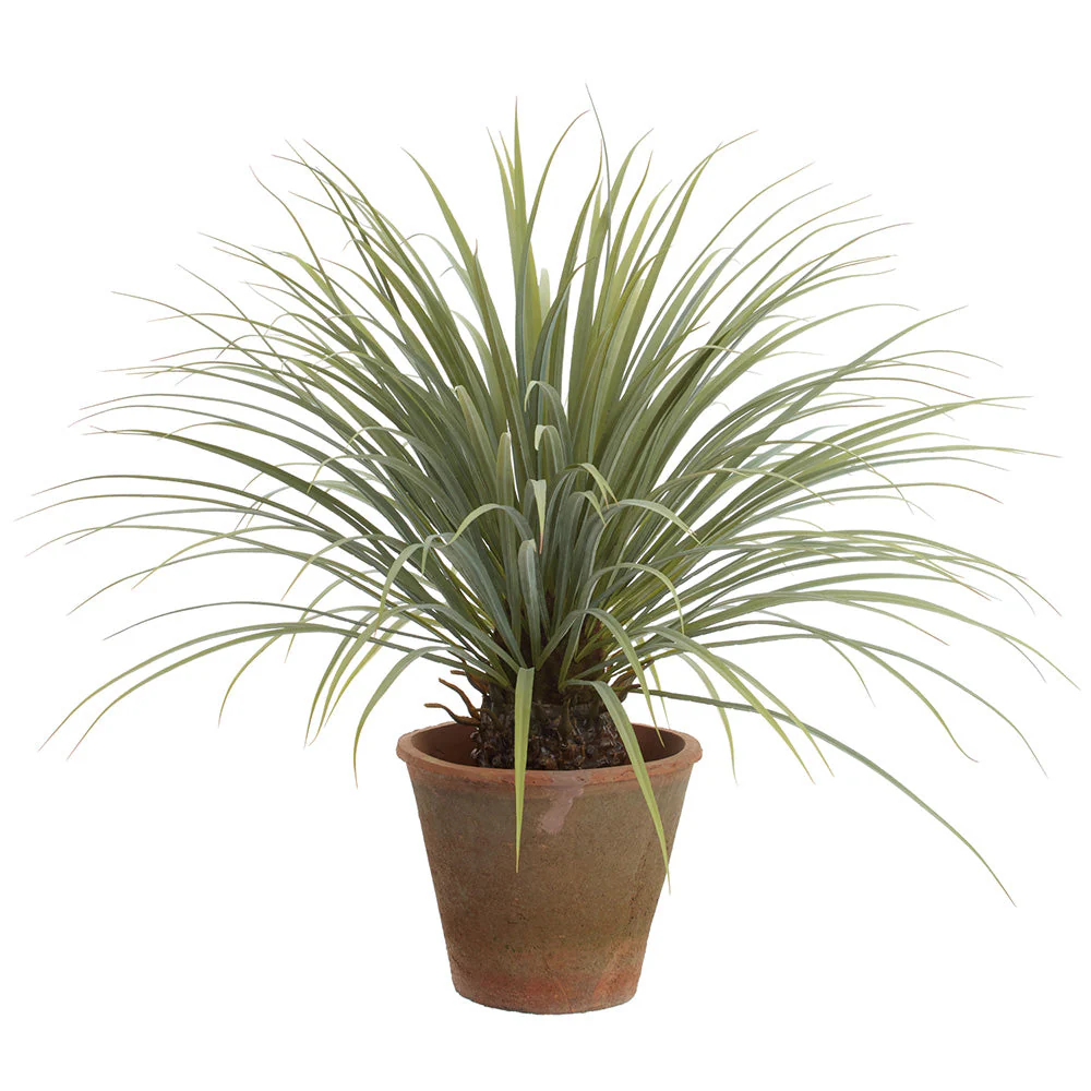 38" Whipple Yucca Artificial Plant w/Clay Pot -Green/Gray