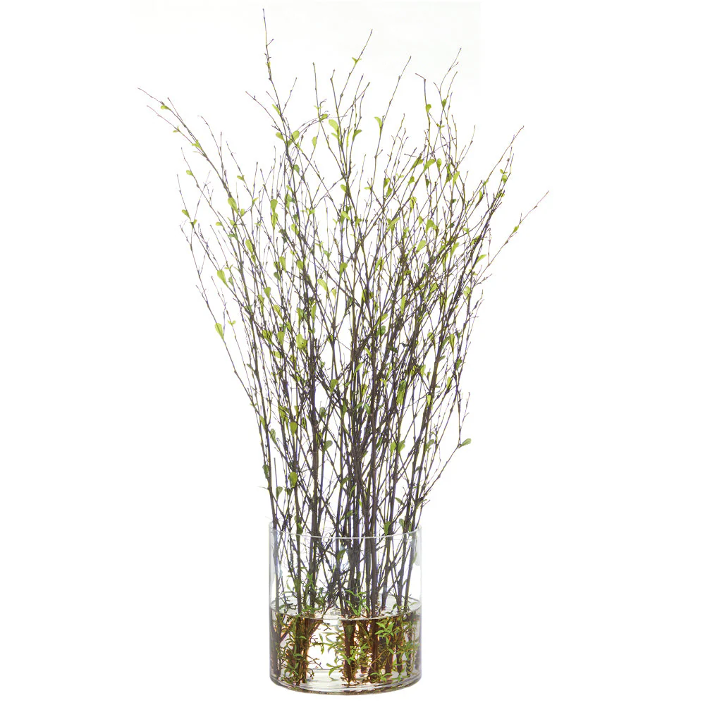 38"Hx24"W Mini Leaves On Twigs Artificial Arrangement w/Glass Vase -Green/Brown
