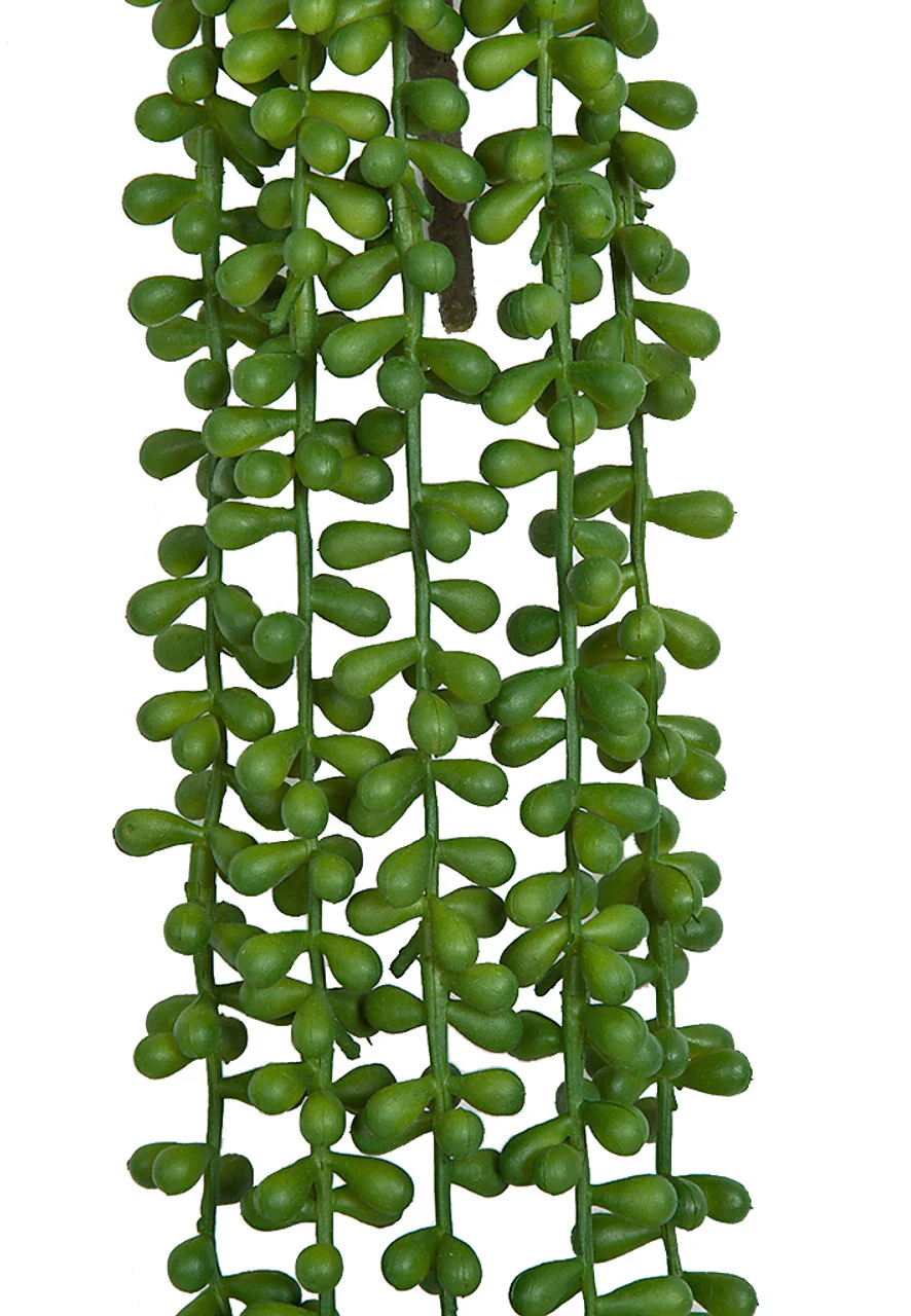 39.5" Hanging Artificial Sedum Vine Stem -Green (Pack of 12) - Image 2