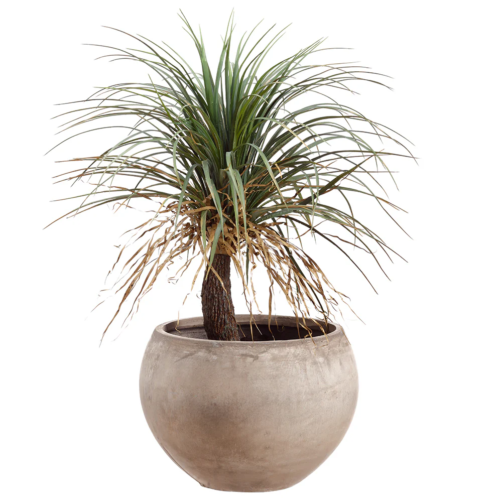 39.5" Silk Desert Palm Tree w/Cement Planter -Green