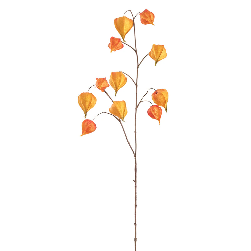 39" Artificial Chinese Lantern Flower Stem -Orange (Pack of 12)