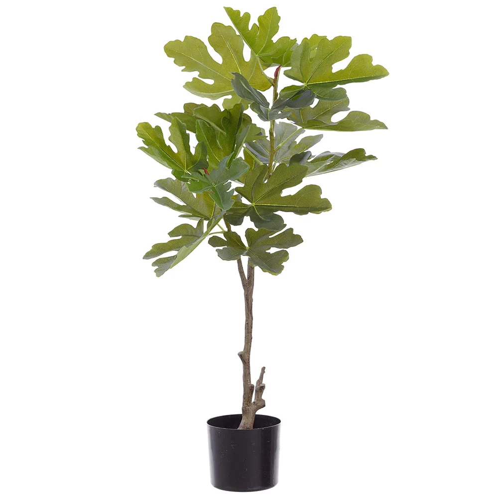 39" Fig Leaf Silk Tree w/Pot -Green (Pack of 2)