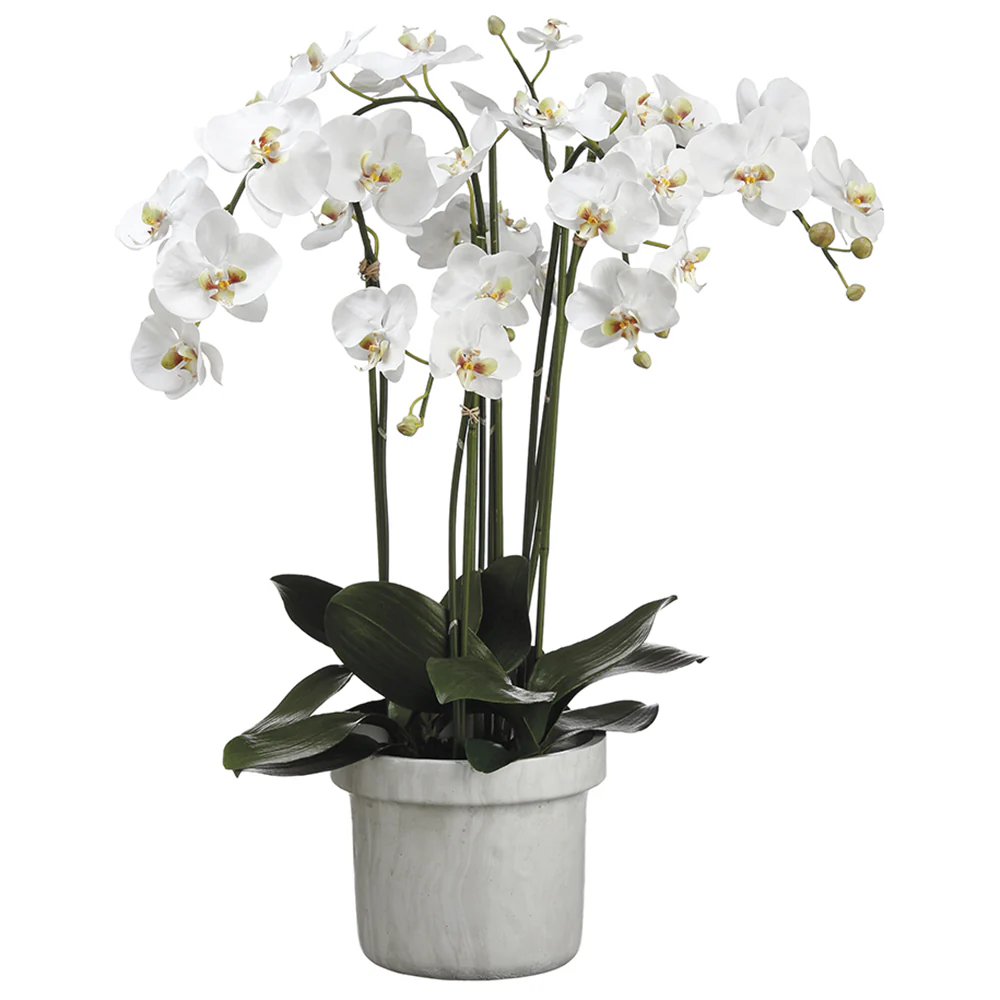 39" Phalaenopsis Orchid Silk Flower Arrangement -White