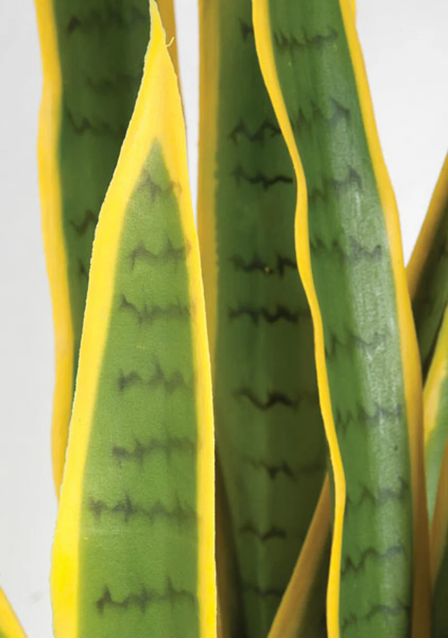 39" Sansevieria Snake Artificial Plant w/Pot -Green/Yellow - Image 2