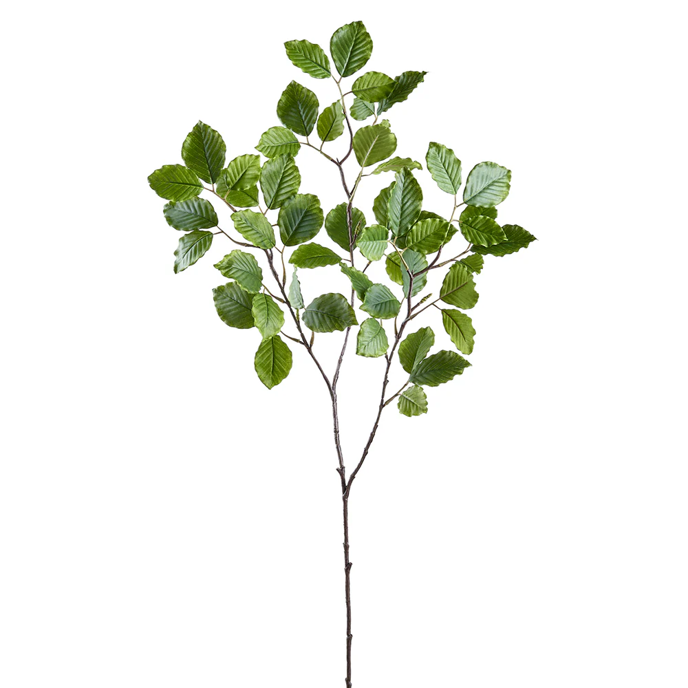 39" Silk Beech Leaf Stem -Green (Pack of 12)