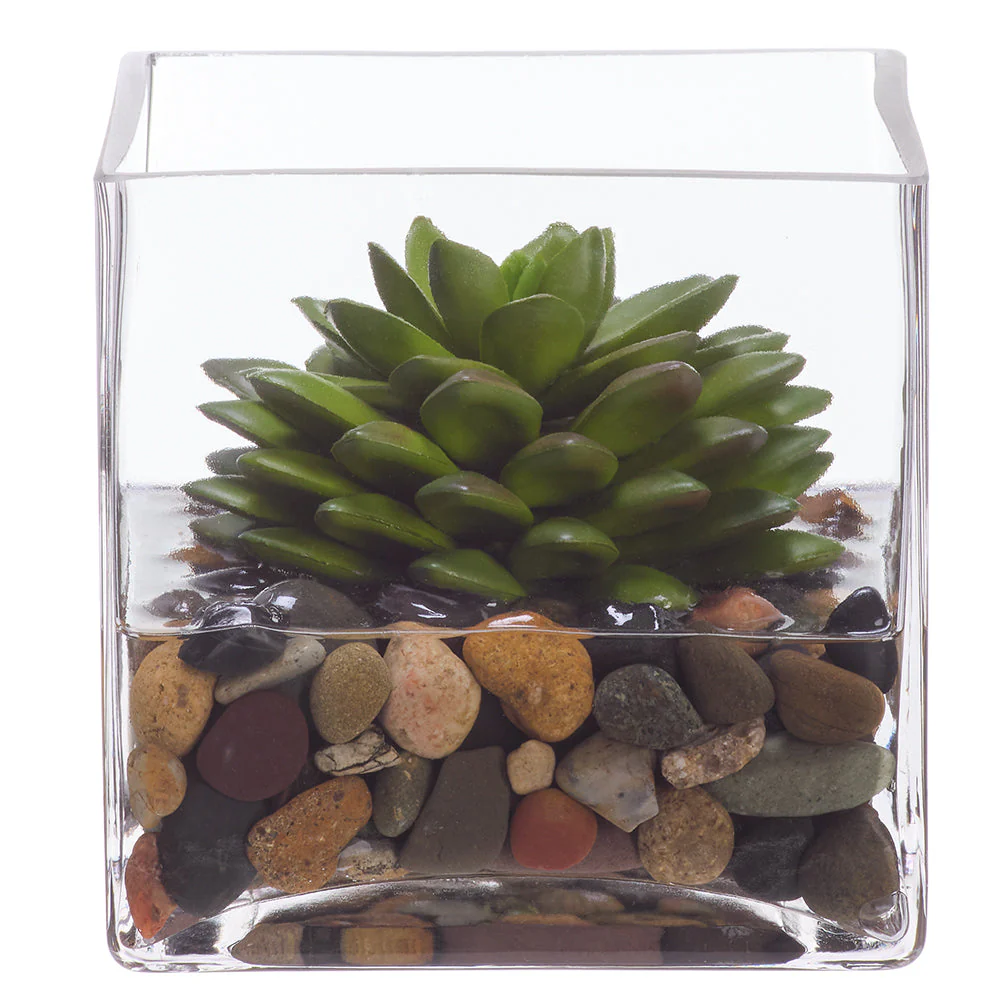 4.75"Hx4.25"W Echeveria Succulent Artificial Plant w/Glass Vase -Green