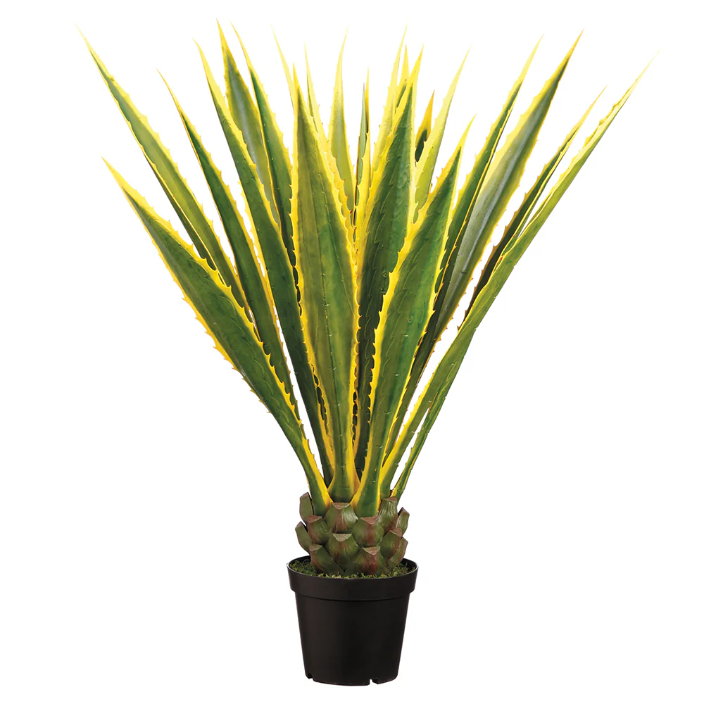 4' Agave Americana Succulent Artificial Plant w/Pot -Variegated (Pack of 2)