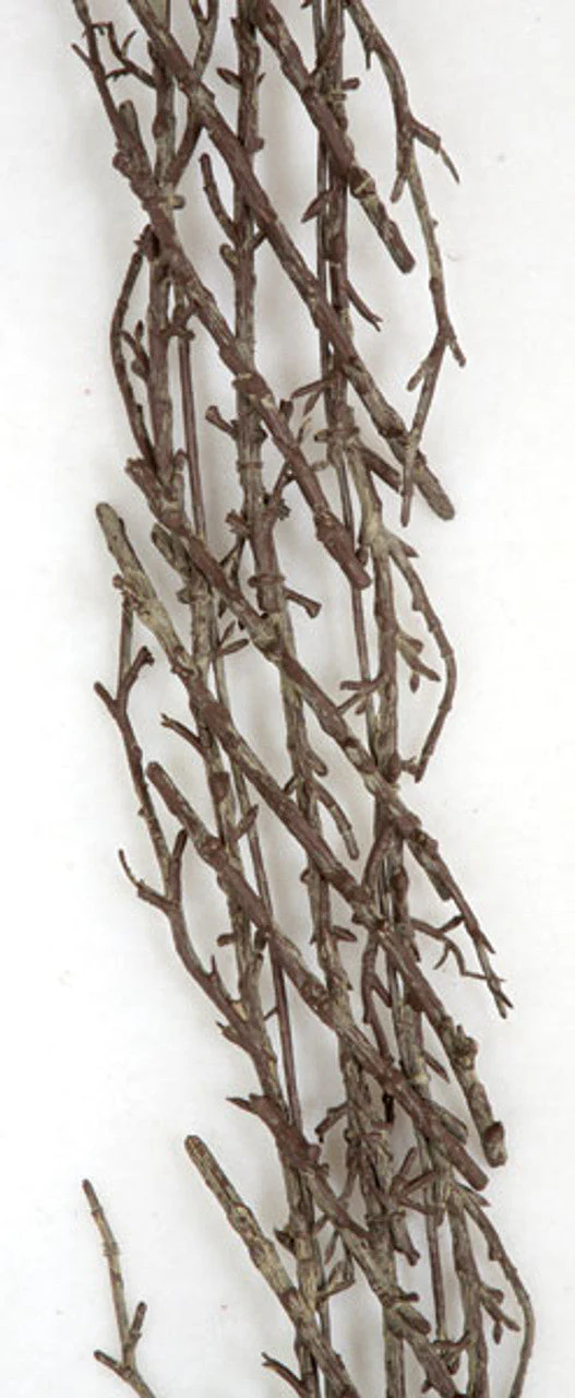 4' Artificial Plastic Twig Garland -Brown (Pack of 6) - Image 3