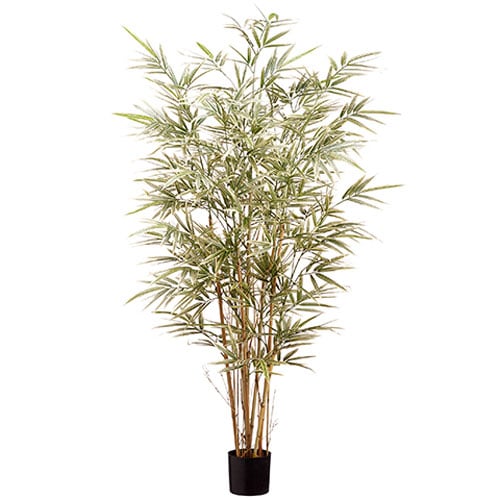 4' Bamboo Silk Tree w/Pot -960 Leaves -Variegated