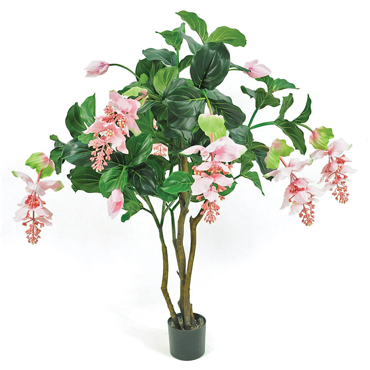 4' IFR Flowering Medinilla Artificial Tree w/Pot -Pink/Green