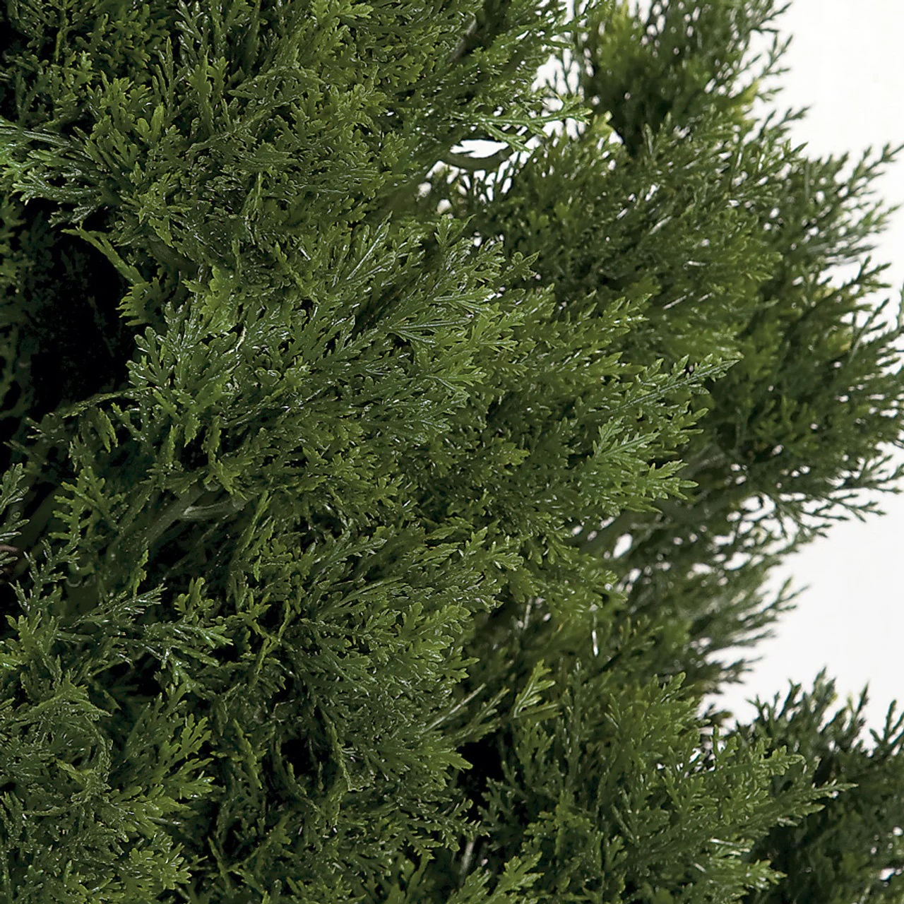 4' Outdoor UV-Proof Artificial Cedar Cone-Shaped Artificial Topiary Tree w/Pot -Green - Image 2