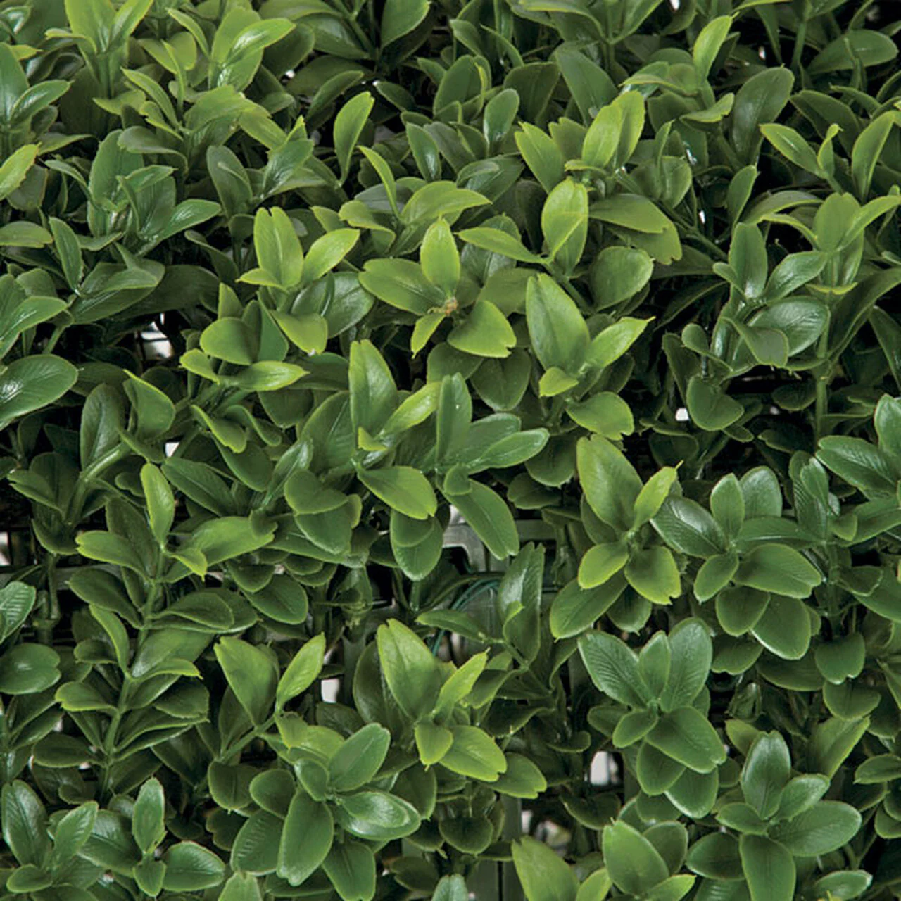 4' Outdoor UV-Resistant Artificial Boxwood Double Ball-Shaped Topiary w/Pot -Green - Image 2