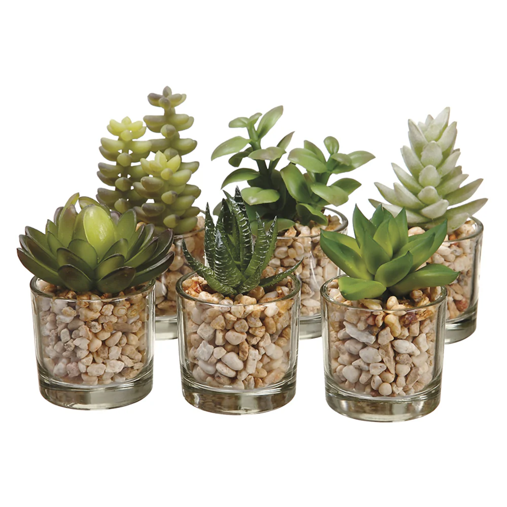 4" Set Of Assorted Succulent Artificial Plant w/Glass Vase -2 Tone Green (Pack of 4)