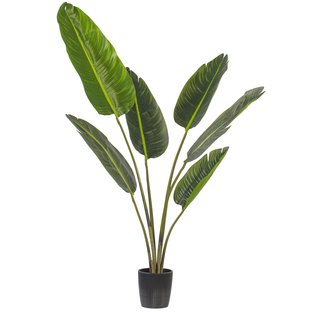 4' Travelers Silk Palm Tree w/Plastic Pot -Green