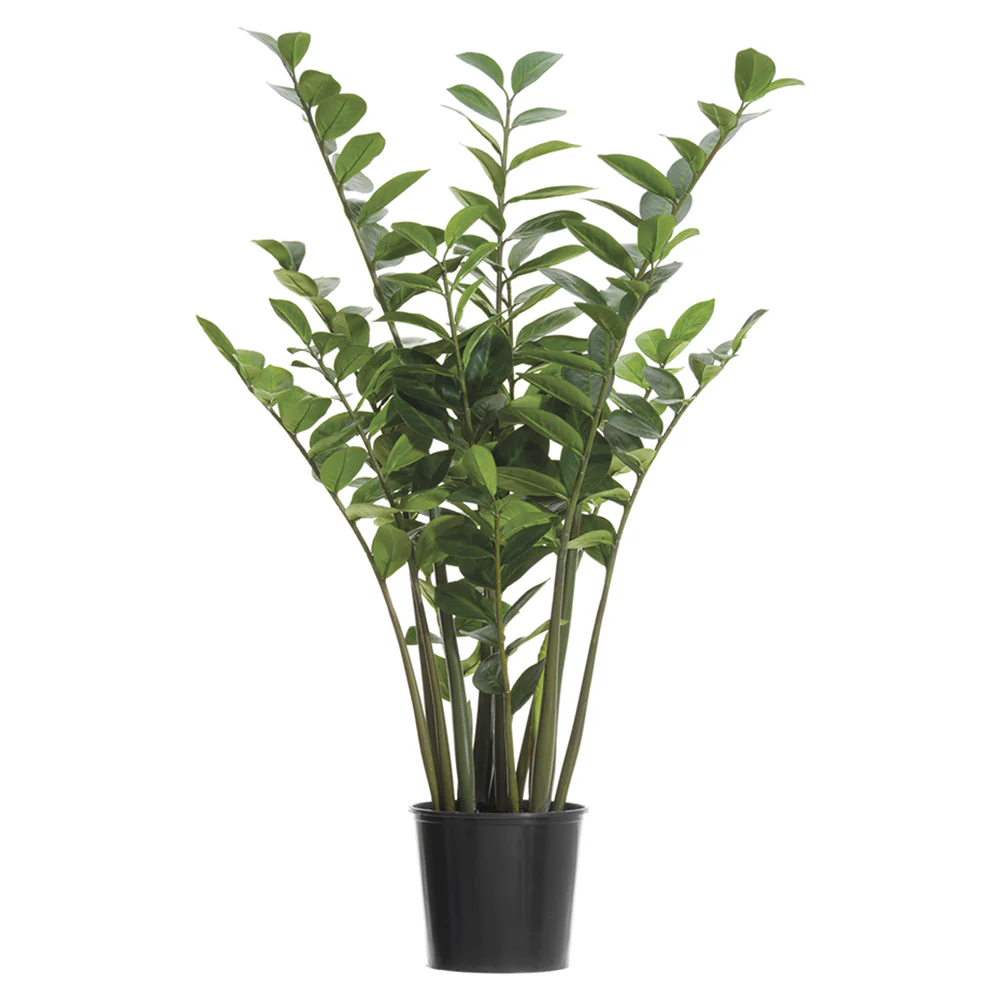 4' Zanzibar Gem Zamioculcas Succulent Artificial Plant w/Pot -Green