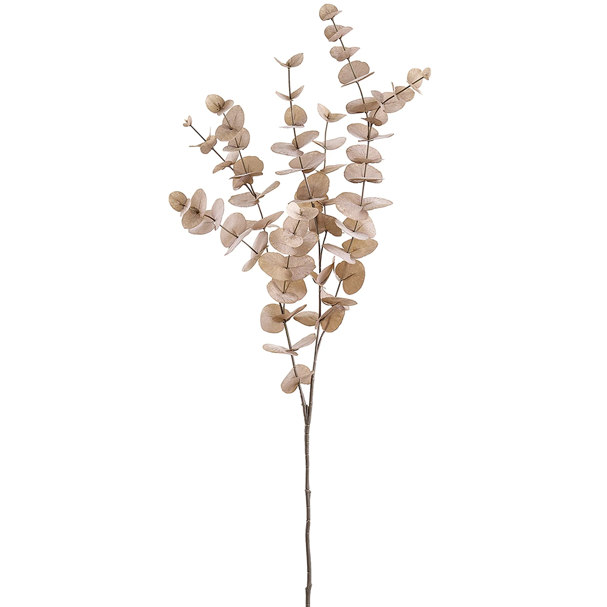 40" Eucalyptus Leaf Silk Stem -Beige (Pack of 12)