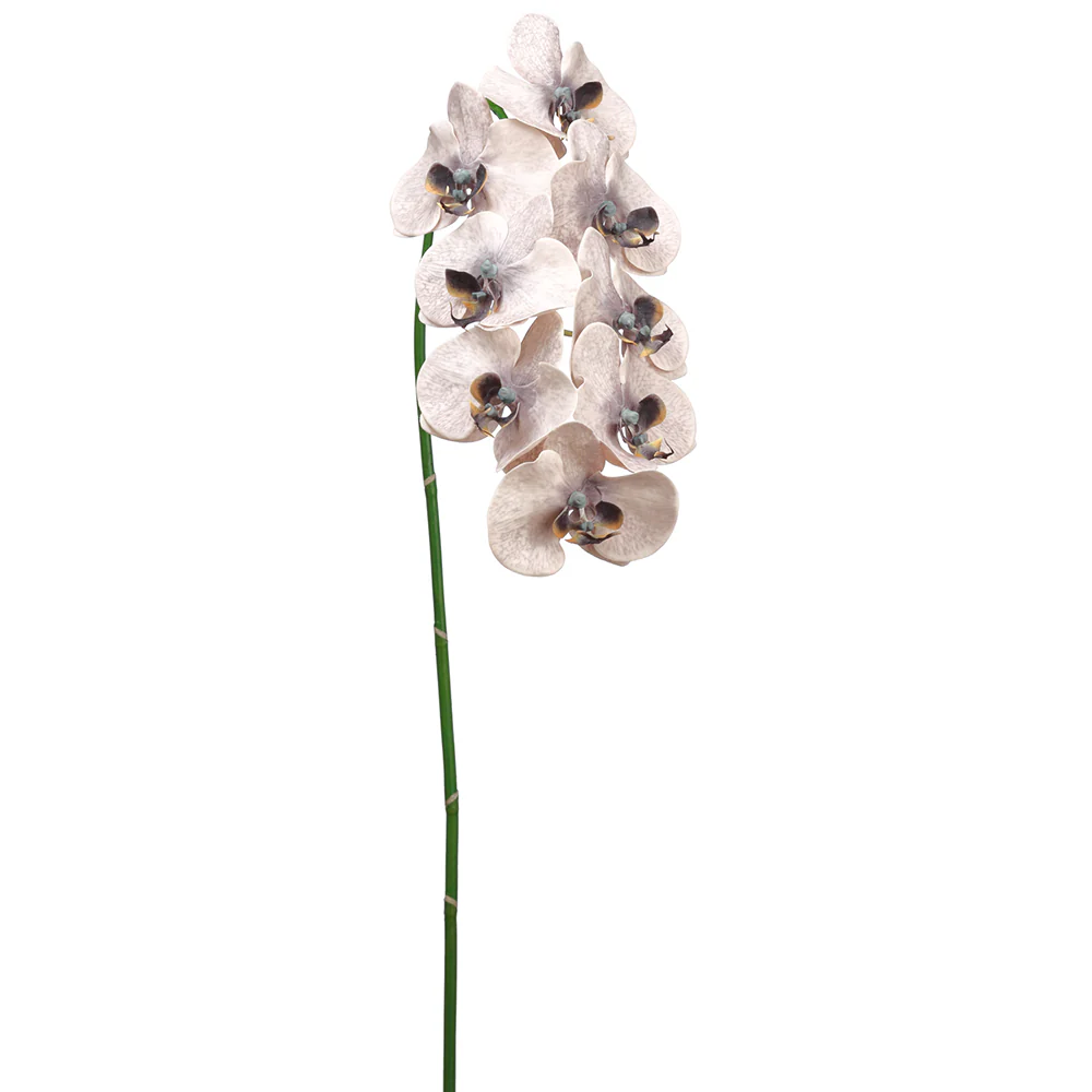 40" Hand-Wrapped Phalaenopsis Orchid Silk Flower Stem -Peach/Black (Pack of 6)