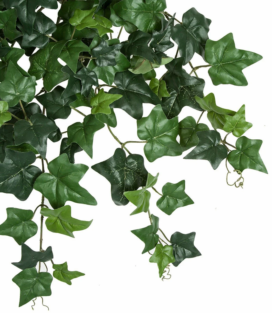 40" IFR Boston Ivy Artificial Hanging Plant -Green (Pack of 2) - Image 2