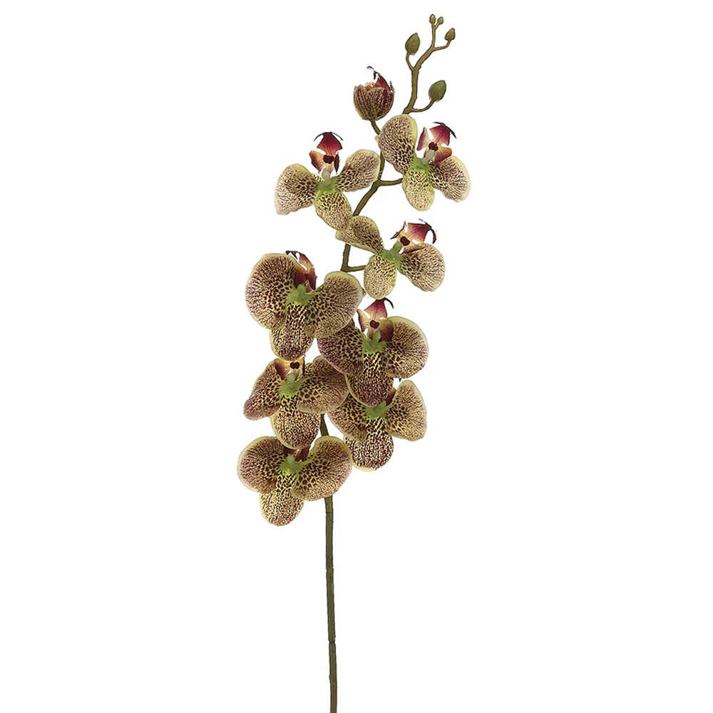 40" Silk Phalaenopsis Orchid Flower Spray -Green/Burgundy (Pack of 12)