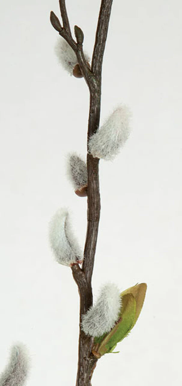 40" Silk Pussy Willow Blossom Flower Stem -White (Pack of 12) - Image 2