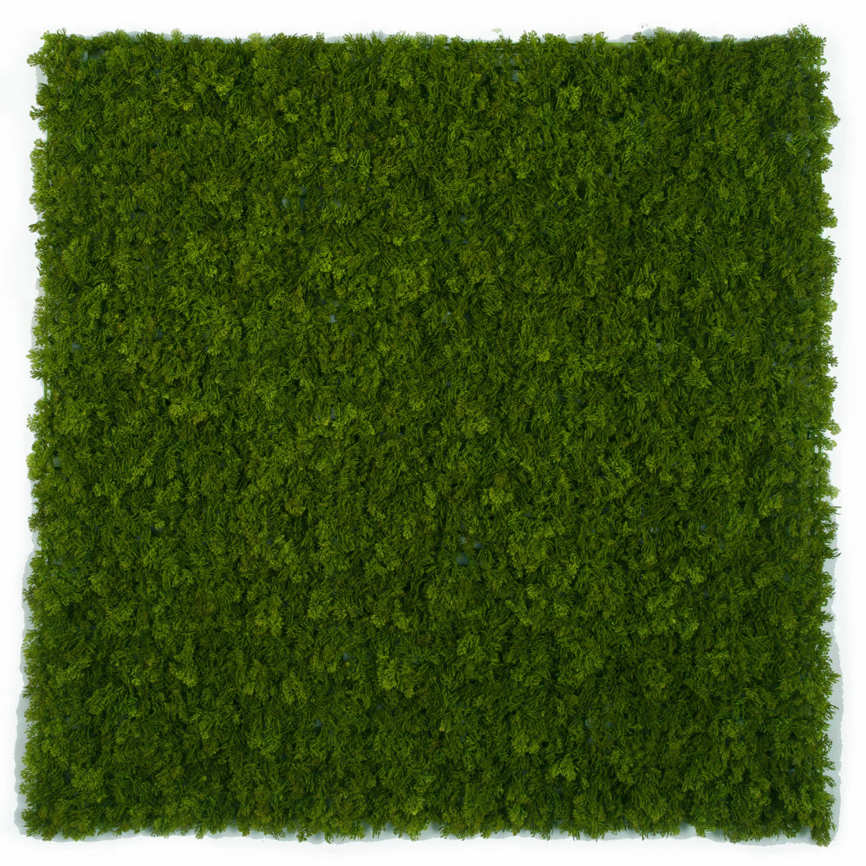 40"x40"x1.5" Outdoor UV-Resistant IFR Artificial Reindeer Moss Mat -Dark Green (Pack of 2)
