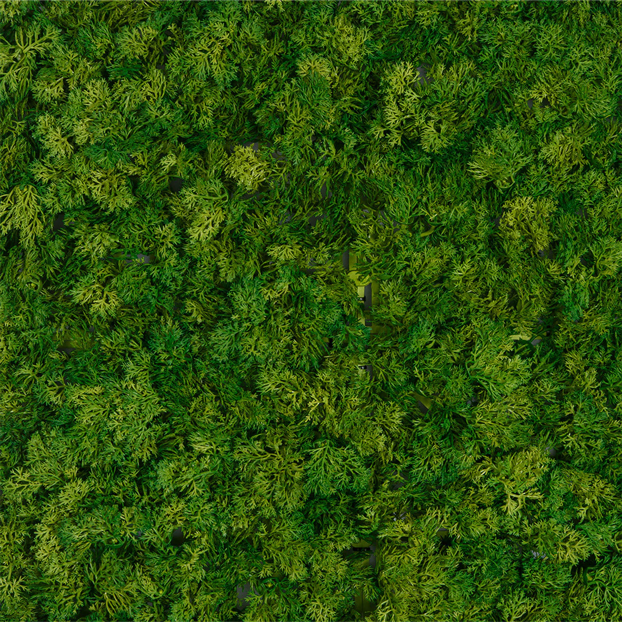 40"x40"x1.5" Outdoor UV-Resistant IFR Artificial Reindeer Moss Mat -Dark Green (Pack of 2) - Image 2