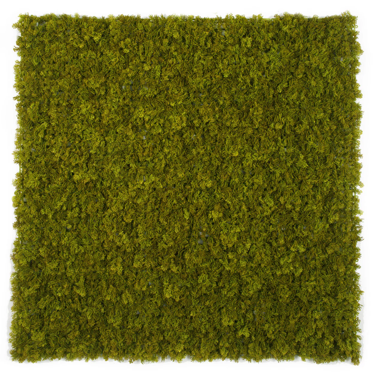40"x40"x1.5" Outdoor UV-Resistant IFR Artificial Reindeer Moss Mat -Olive Green (Pack of 2)