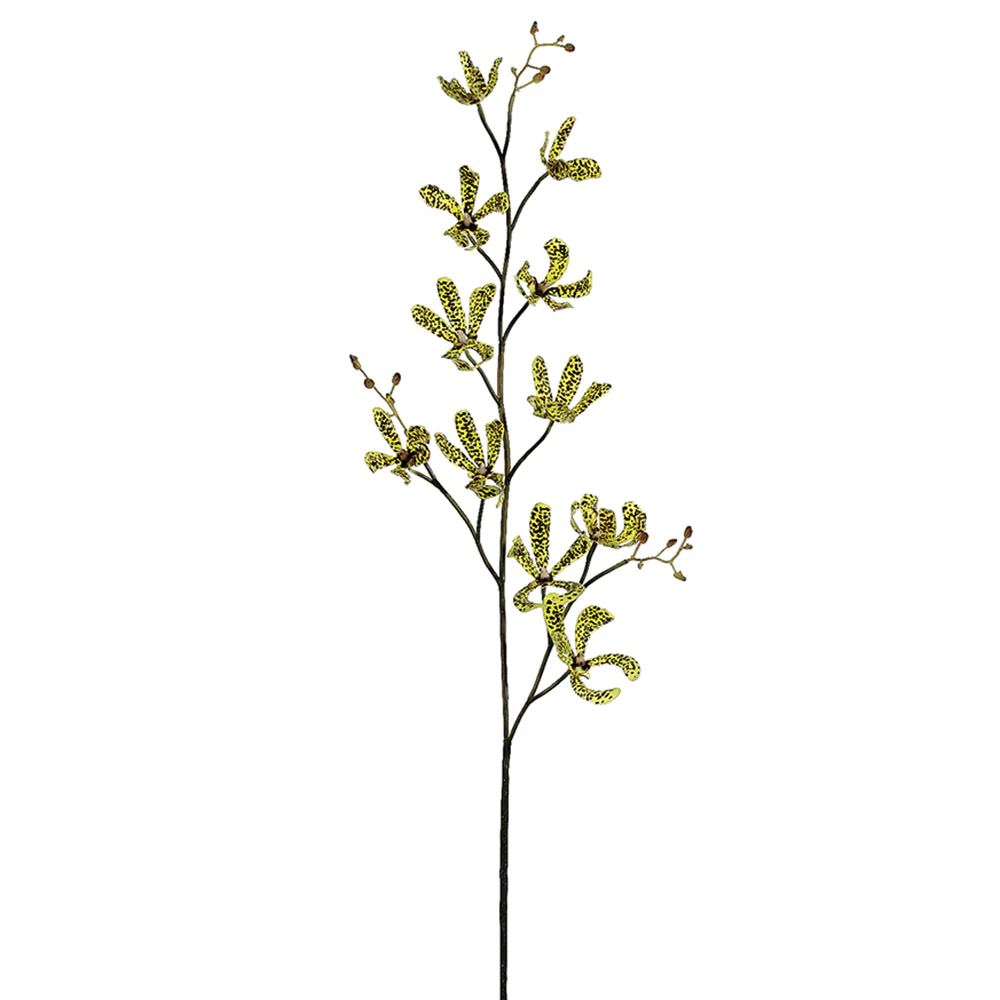 41.5" Hand-Wrapped Silk Dendrobium Orchid Flower Spray -Green/Burgundy (Pack of 12)