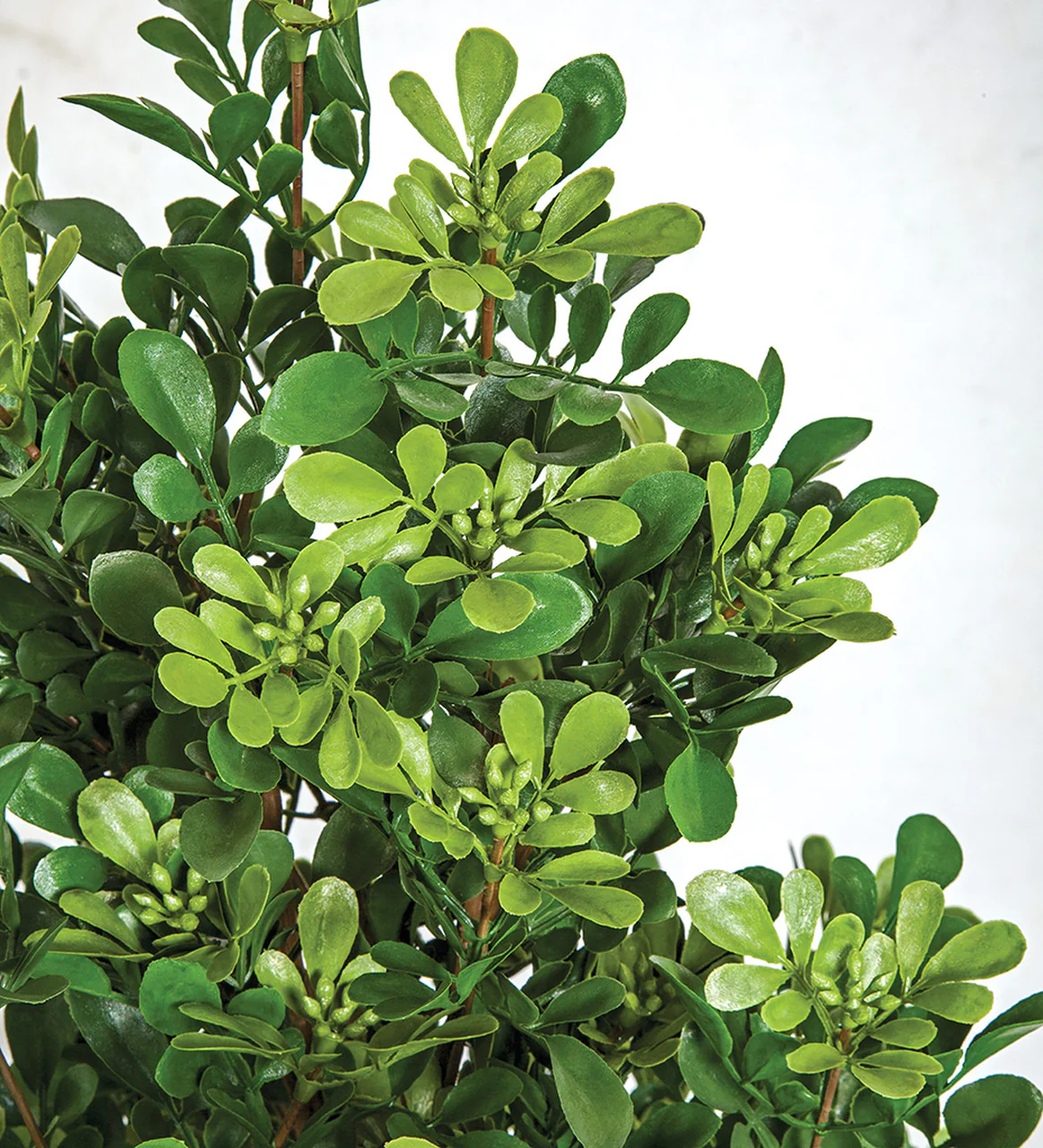 41" Outdoor UV-Proof Artificial Boxwood Plant -Green (Pack of 2) - Image 2