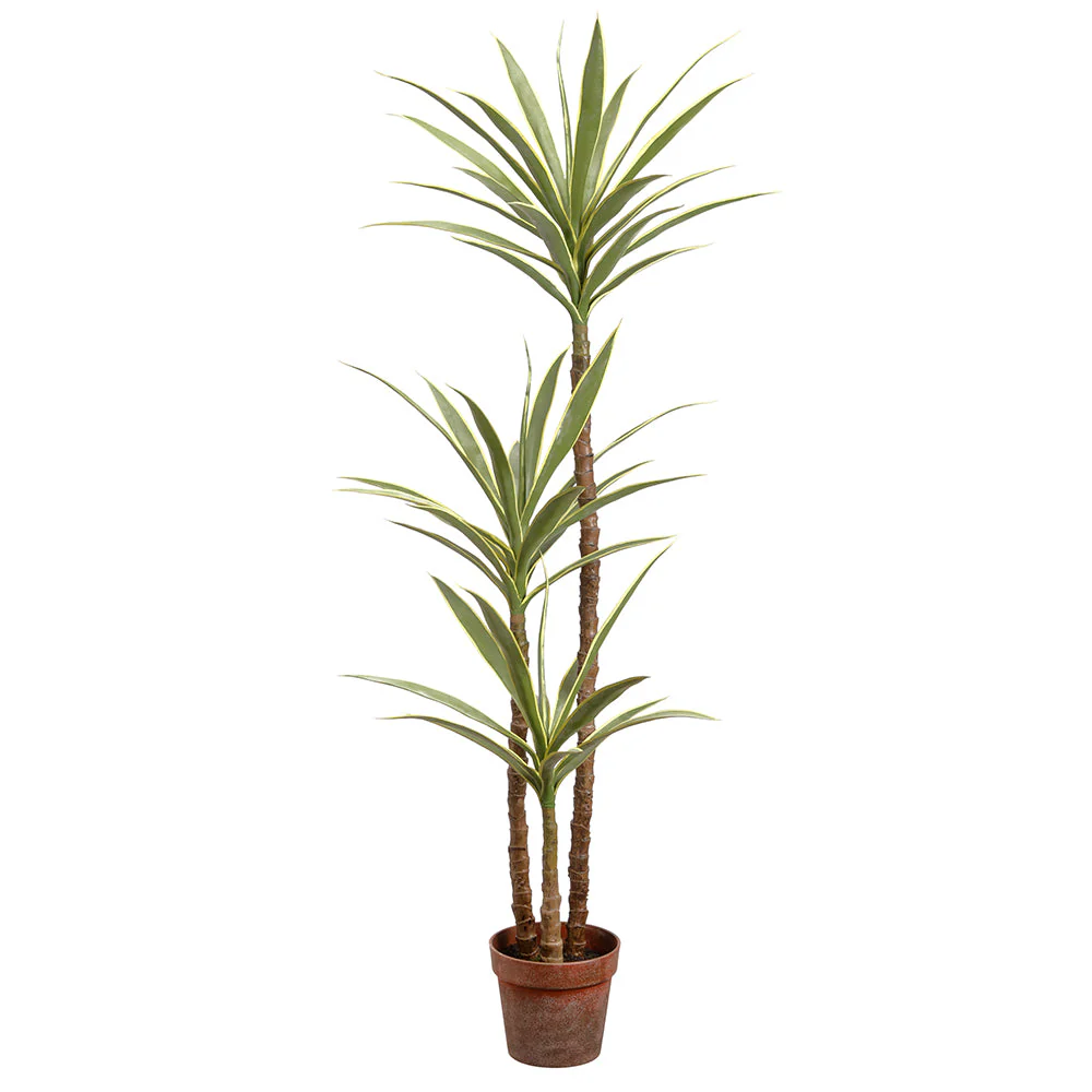 4'11" Silk Yucca Tree w/Pot -Variegated