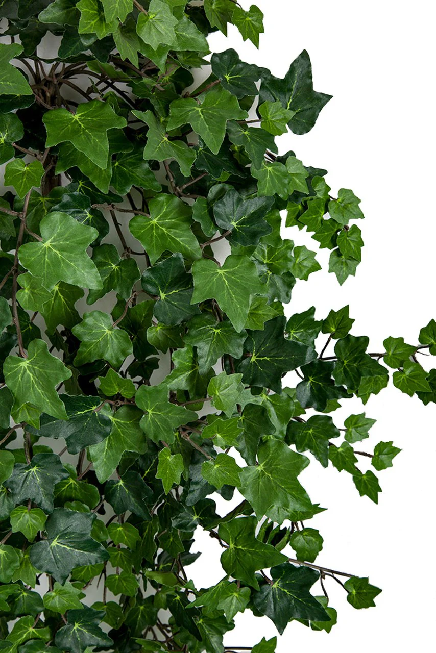 42" IFR Curly Ivy Artificial Hanging Plant -739 Leaves -Green (Pack of 4) - Image 2