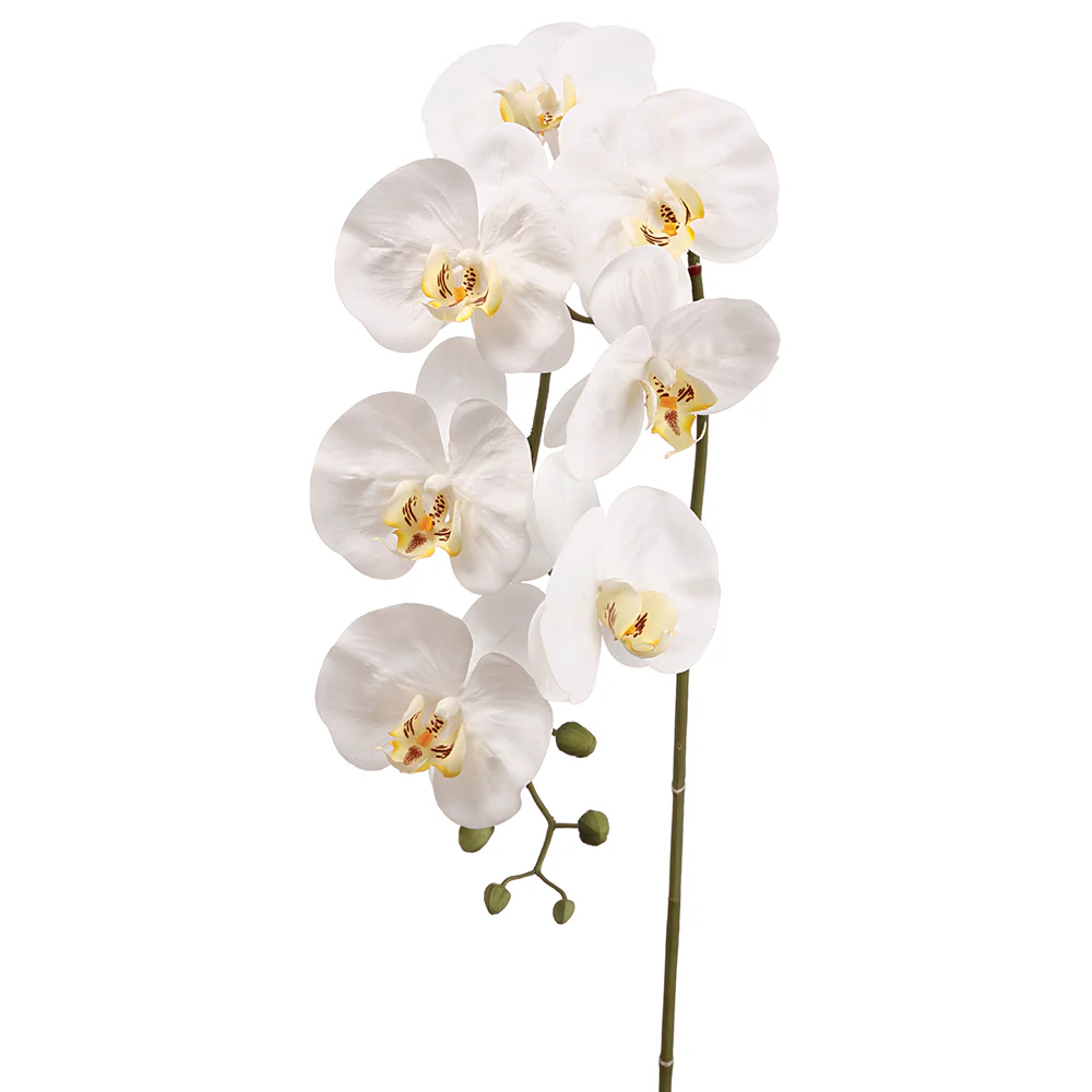 42" Silk Phalaenopsis Orchid Flower Spray -White (Pack of 6)