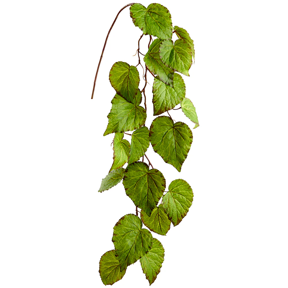 43" Hanging Silk Begonia Leaf Stem -Green (Pack of 12)