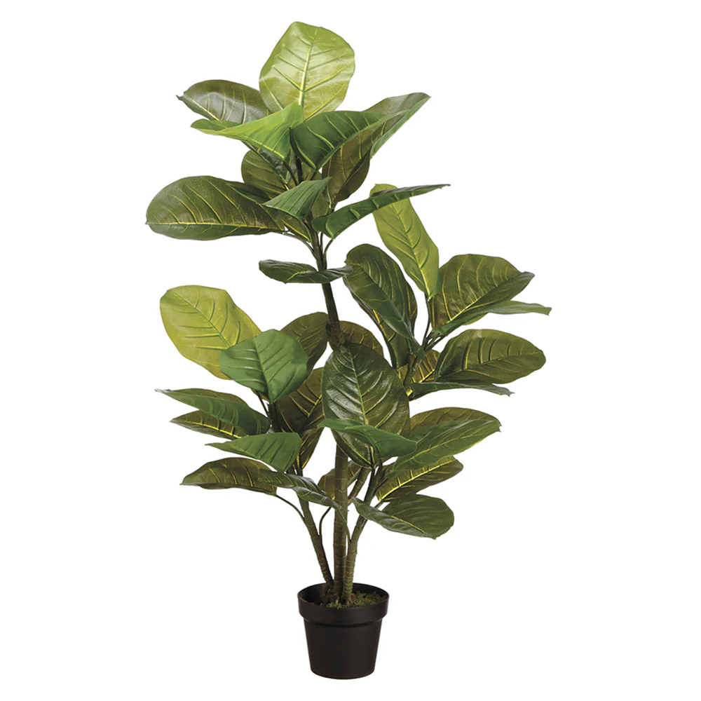 4'3" Large Leaf Rubber Silk Tree w/Pot -Green (Pack of 4)