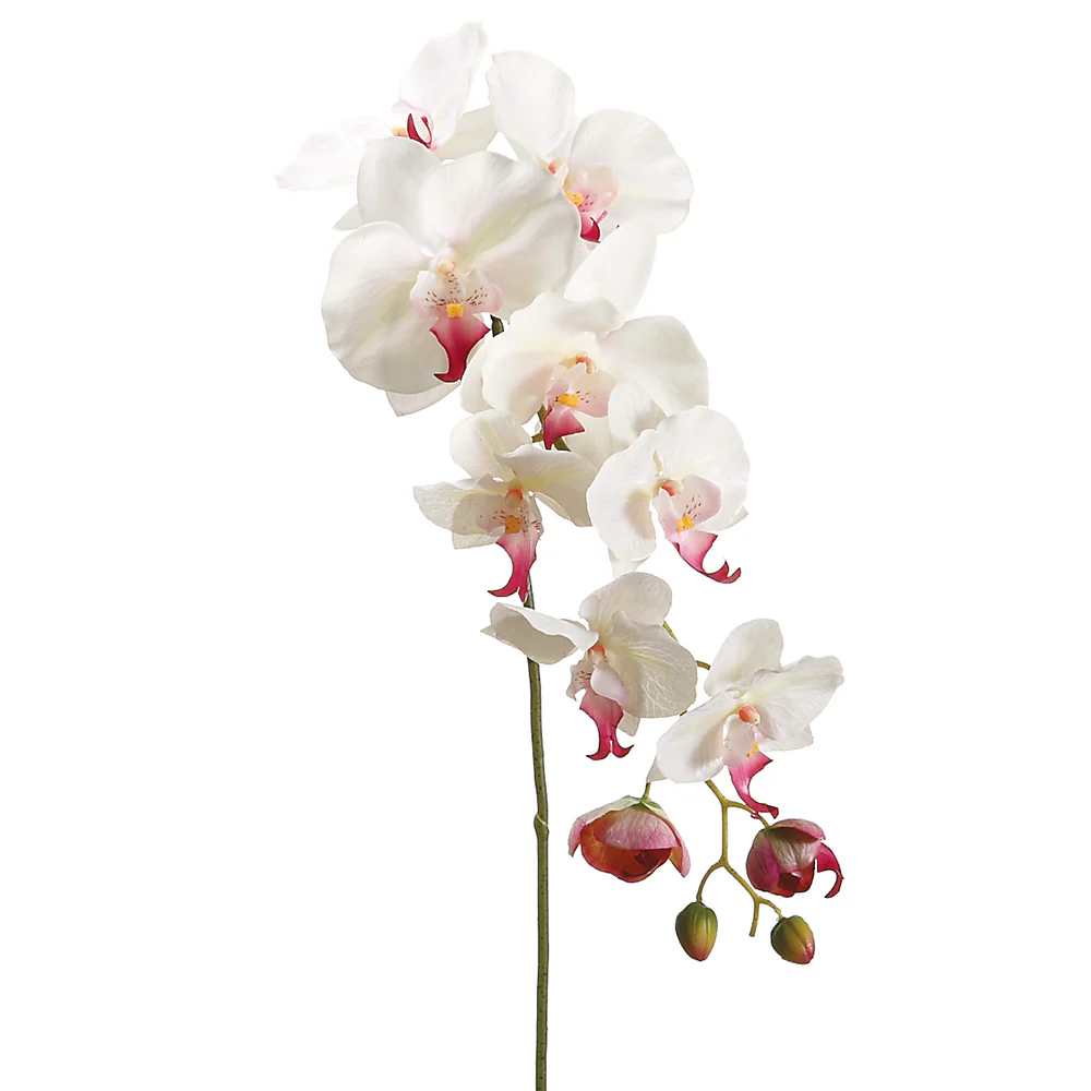 44.5" Hand-Wrapped Silk Phalaenopsis Orchid Flower Spray -Cream/Rubrum (Pack of 6)