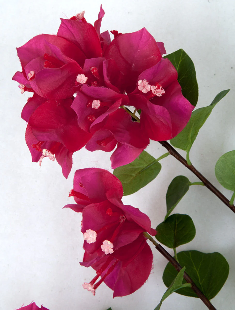 44" Bougainvillea Silk Flower Stem -Fuchsia (Pack of 6) - Image 2