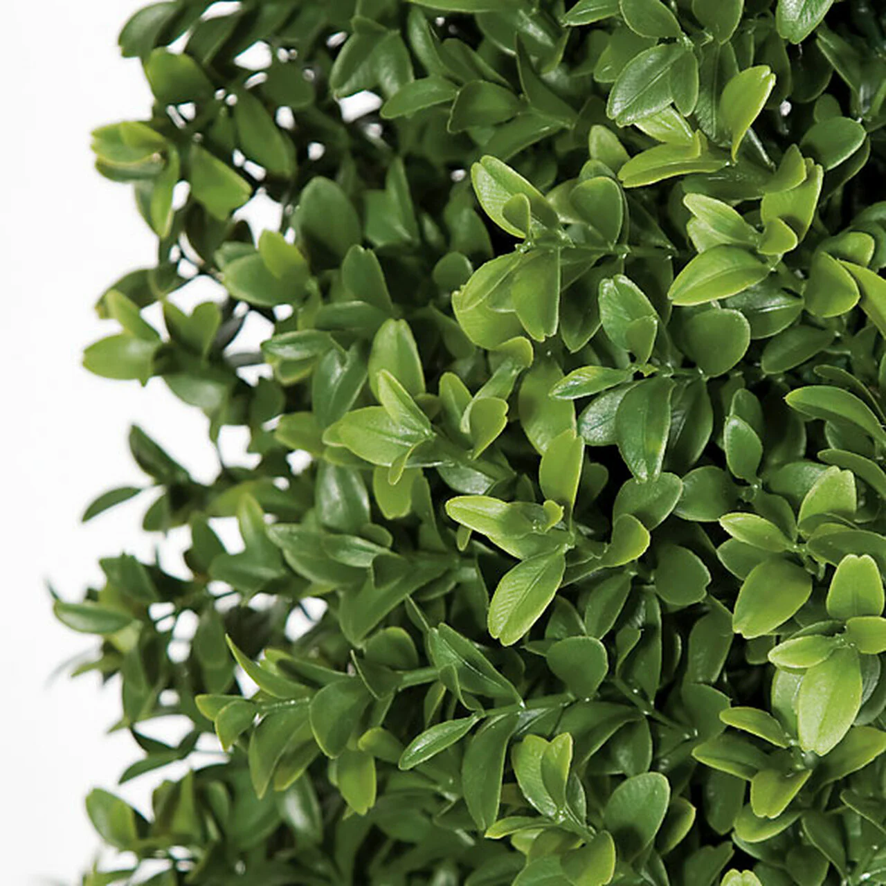 4'4" Outdoor UV-Resistant Artificial Boxwood Pyramid-Shaped Topiary -Green - Image 2
