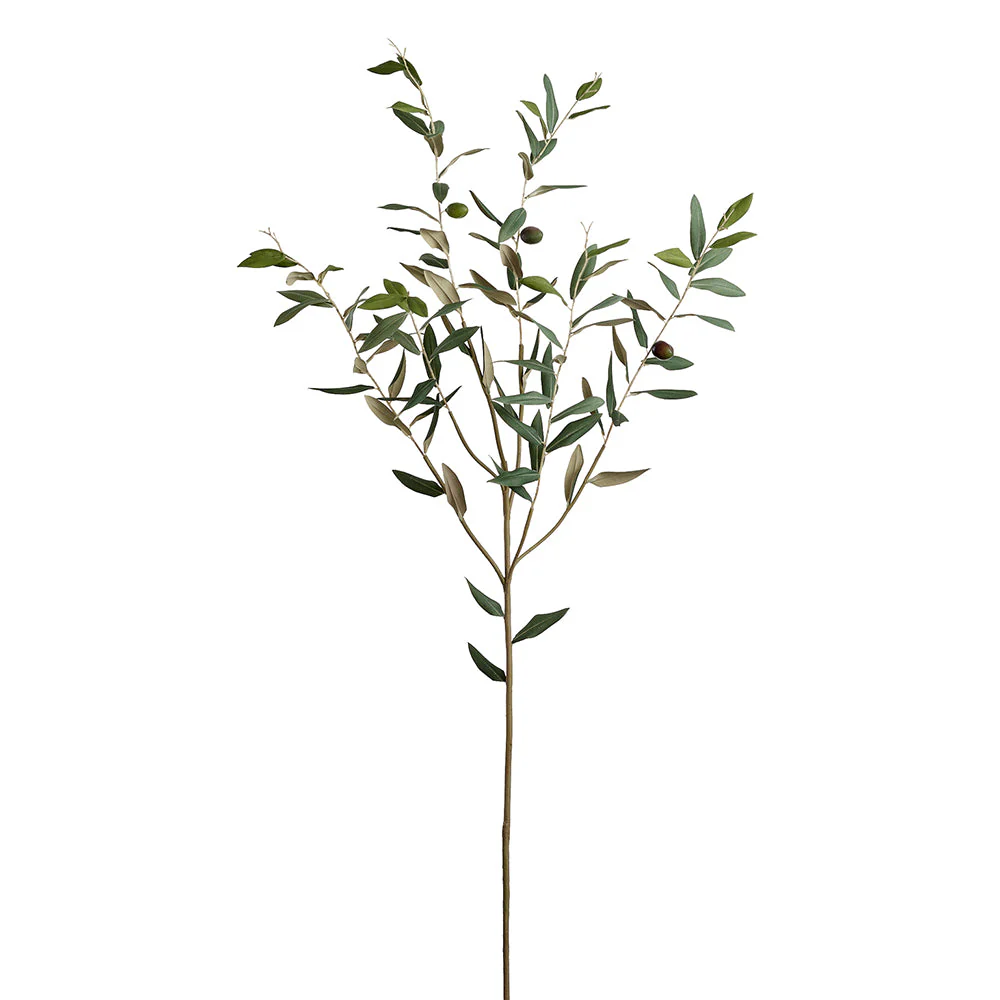 44" Silk Olive Leaf Stem With Olives -Green (Pack of 12)