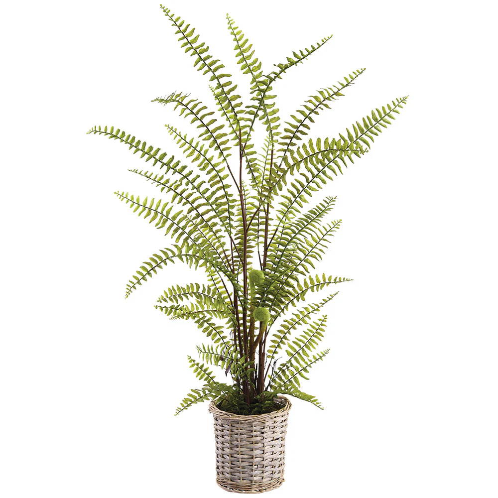 45" Boston Fern Artificial Plant w/Basket -Green (Pack of 2)