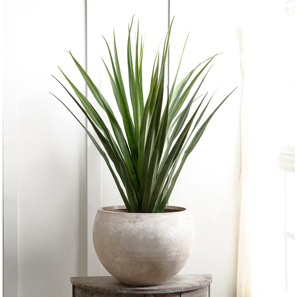 4'5" Dracaena Silk Plant w/Fiber Cement Planter -Green - Image 2