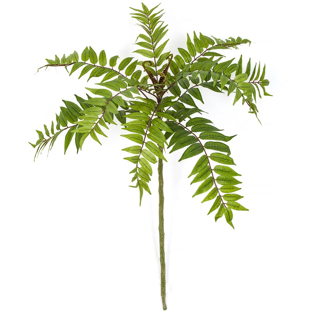 45" Silk Mahogany Leaf Stem -Green (Pack of 6)